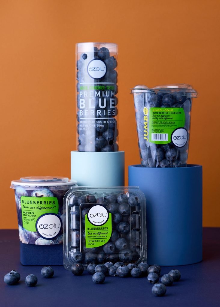 Studio pack shot of the OZblu blueberry range on blue plinths against an orange and navy colour-blocked background, with loose blueberries scattered in front
